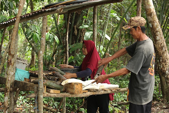 sustainable-rubber-supply-chain-continental-giz-canopy-indonesia-kopie